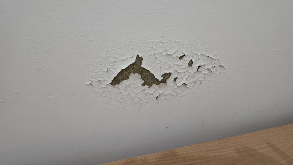 油漆工程案件圖片