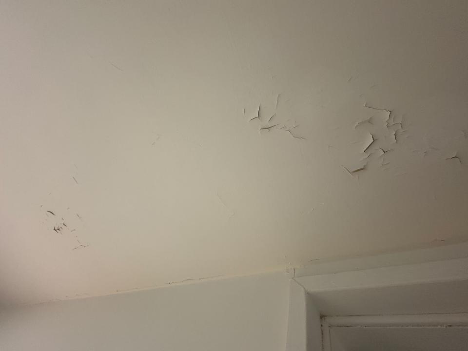 油漆工程案件圖片