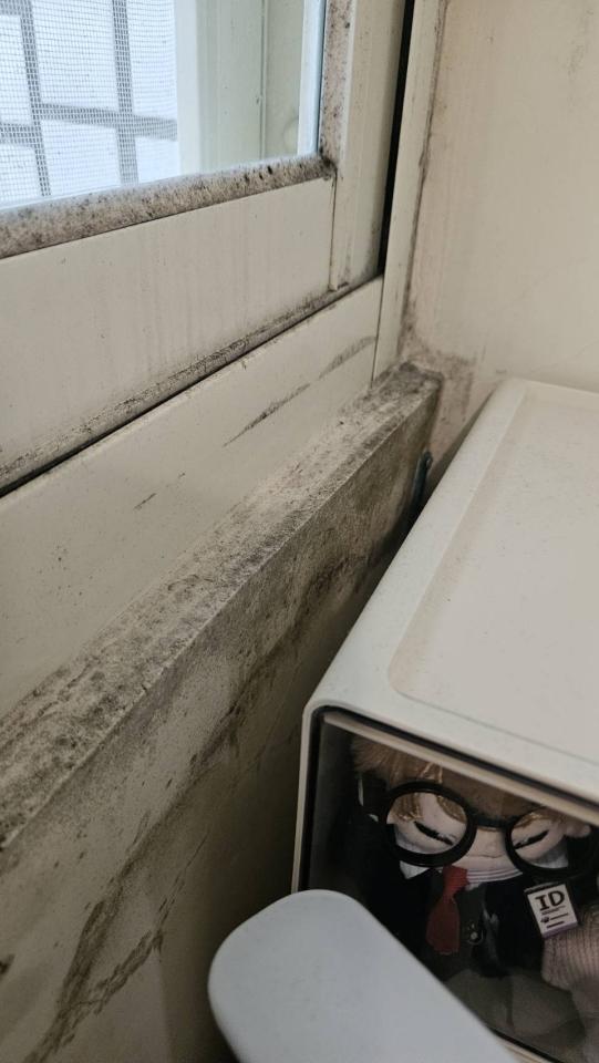 搬家清潔案件圖片