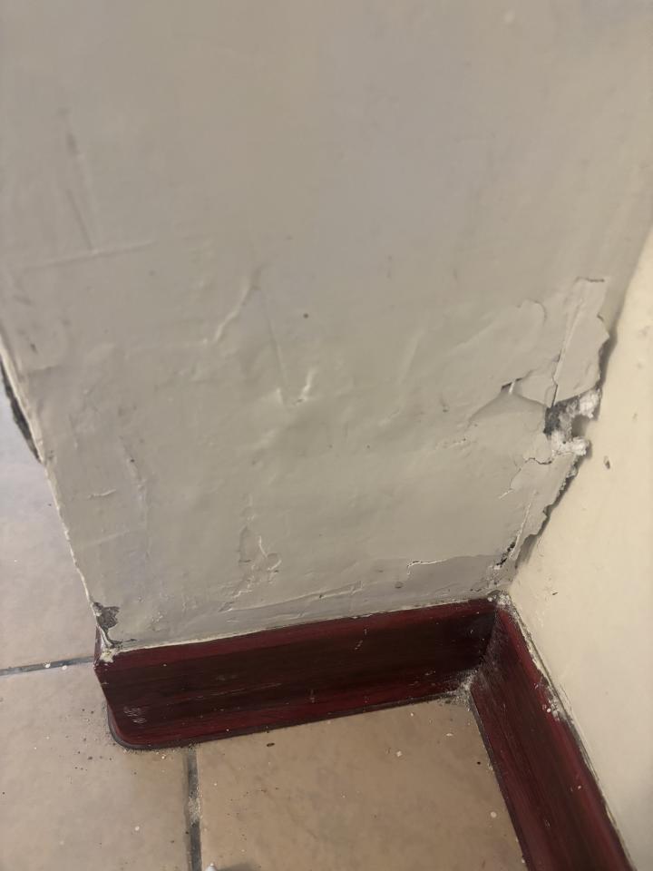 壁癌處理案件圖片