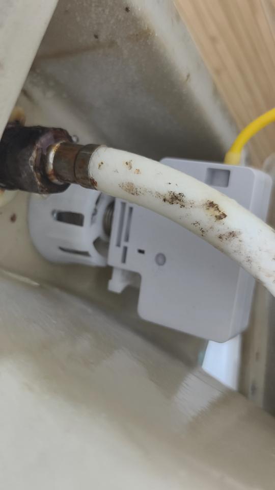 馬桶裝修案件圖片