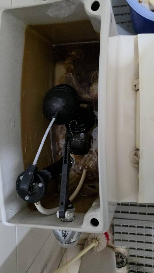 馬桶裝修案件圖片