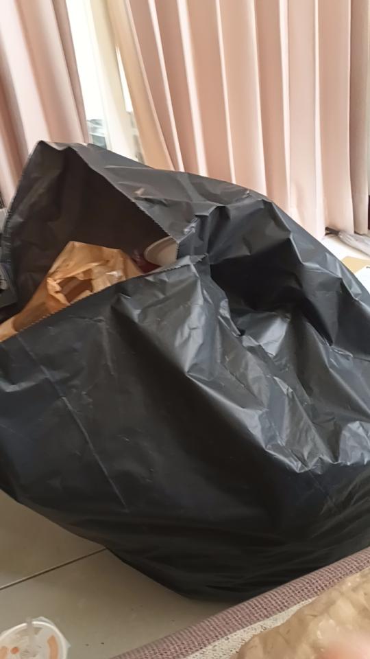 大型垃圾回收案件圖片