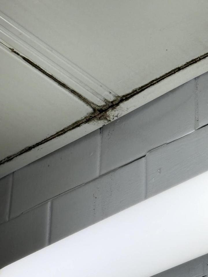 漏水處理案件圖片