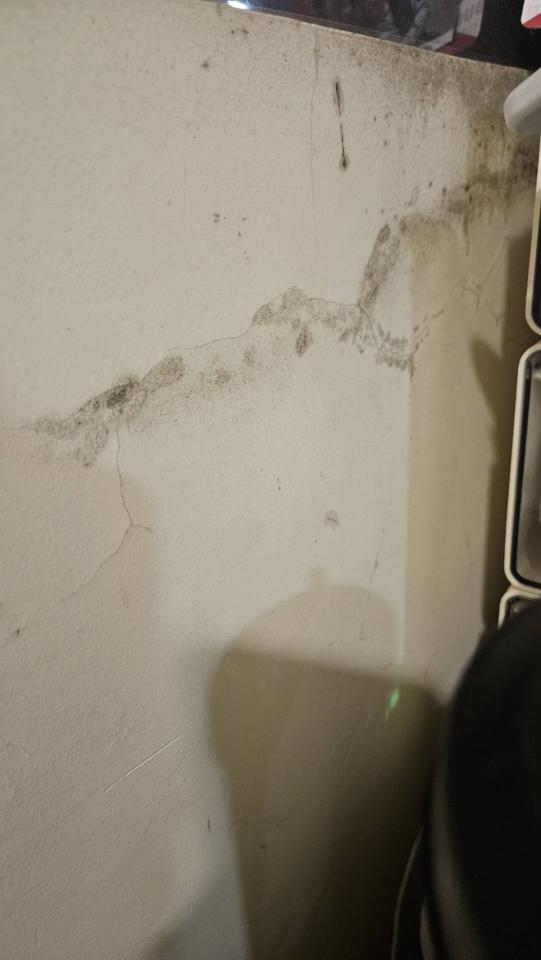 搬家清潔案件圖片