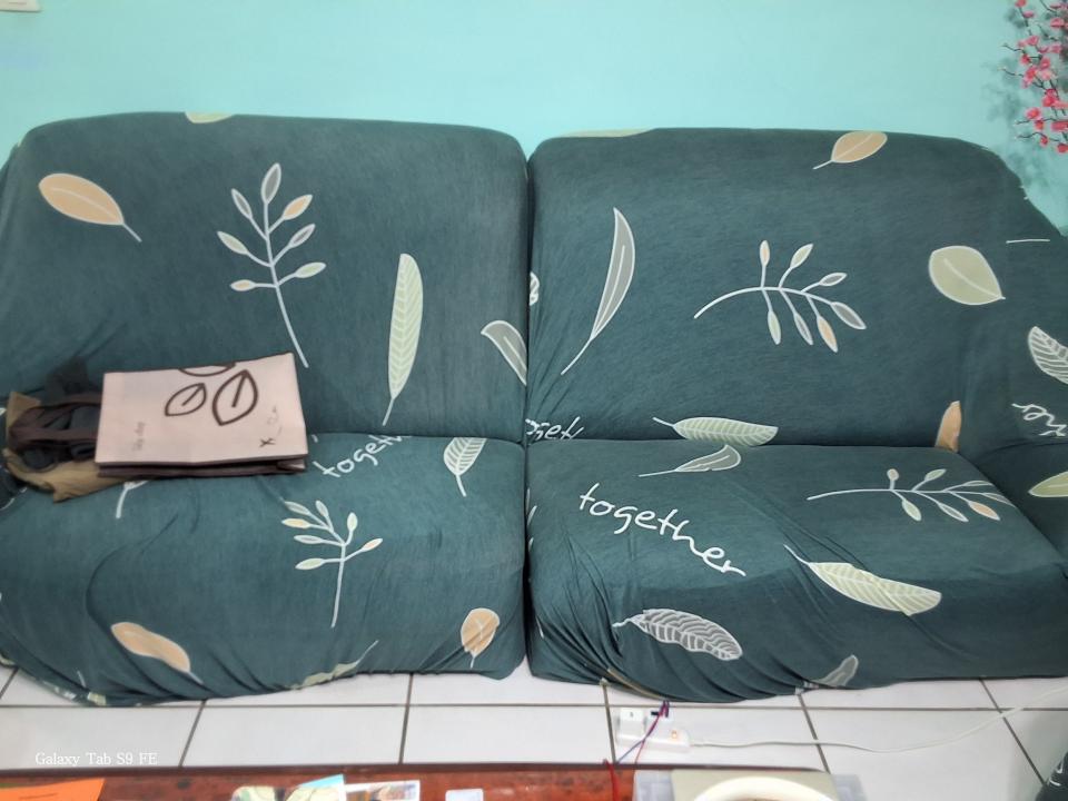 大型垃圾回收案件圖片