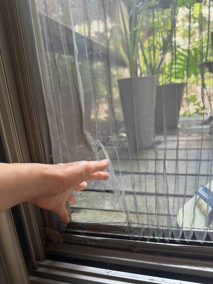 紗窗裝修案件圖片