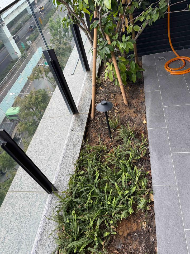 園藝維護案件圖片