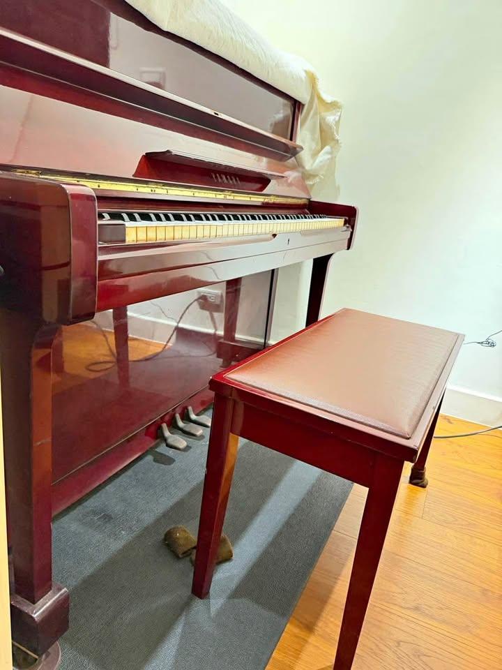 鋼琴搬運案件圖片