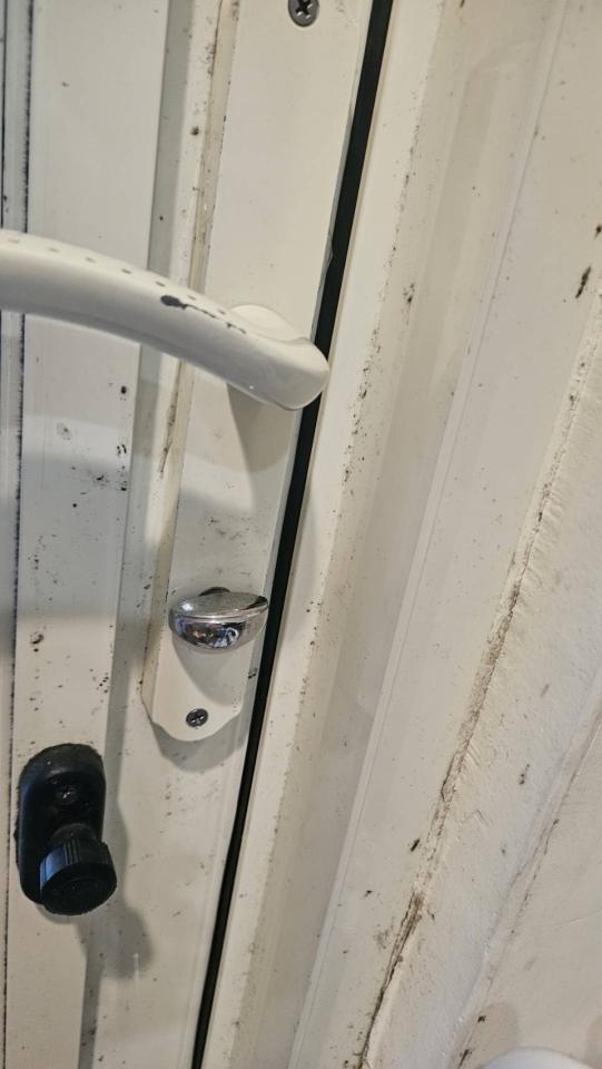 搬家清潔案件圖片