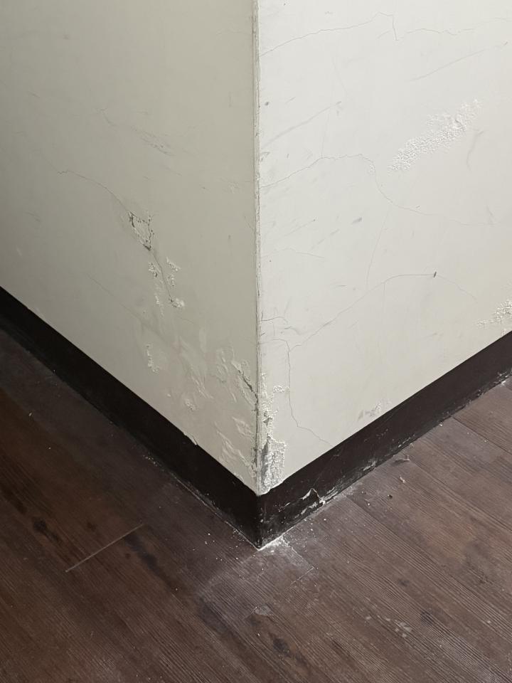 壁癌處理案件圖片