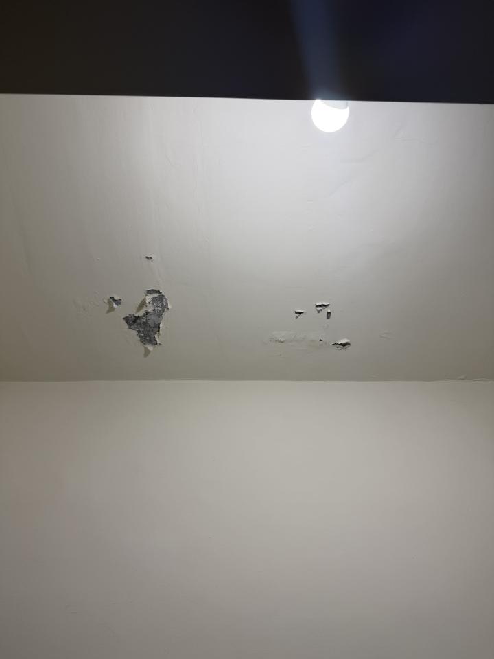 壁癌處理案件圖片