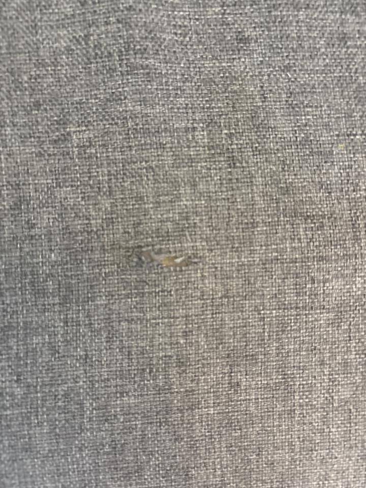 沙發修理案件圖片