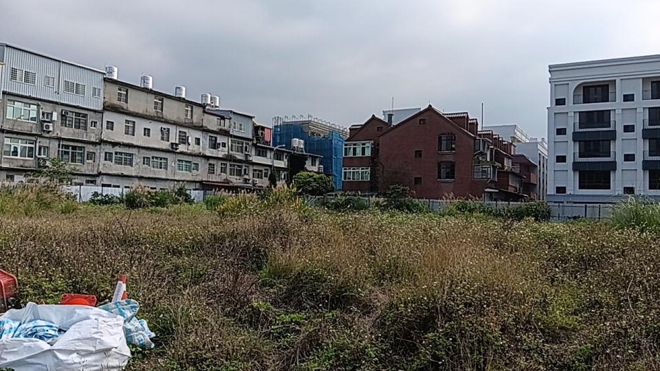 園藝維護案件圖片