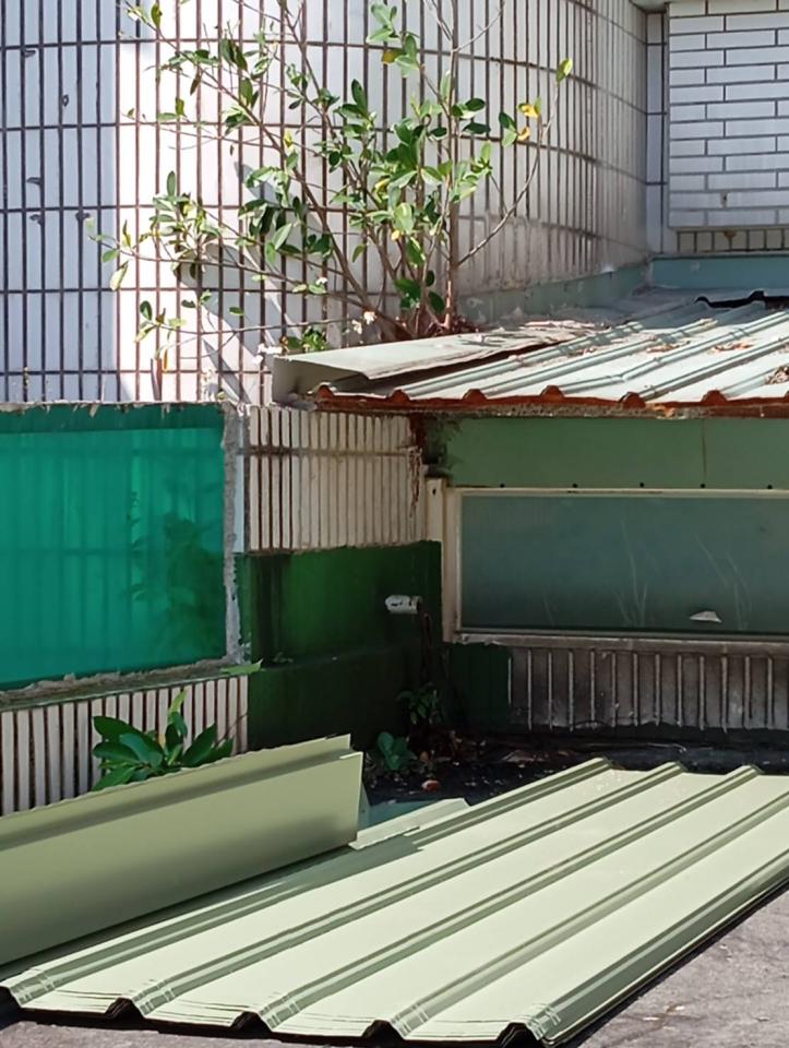 園藝維護案件圖片