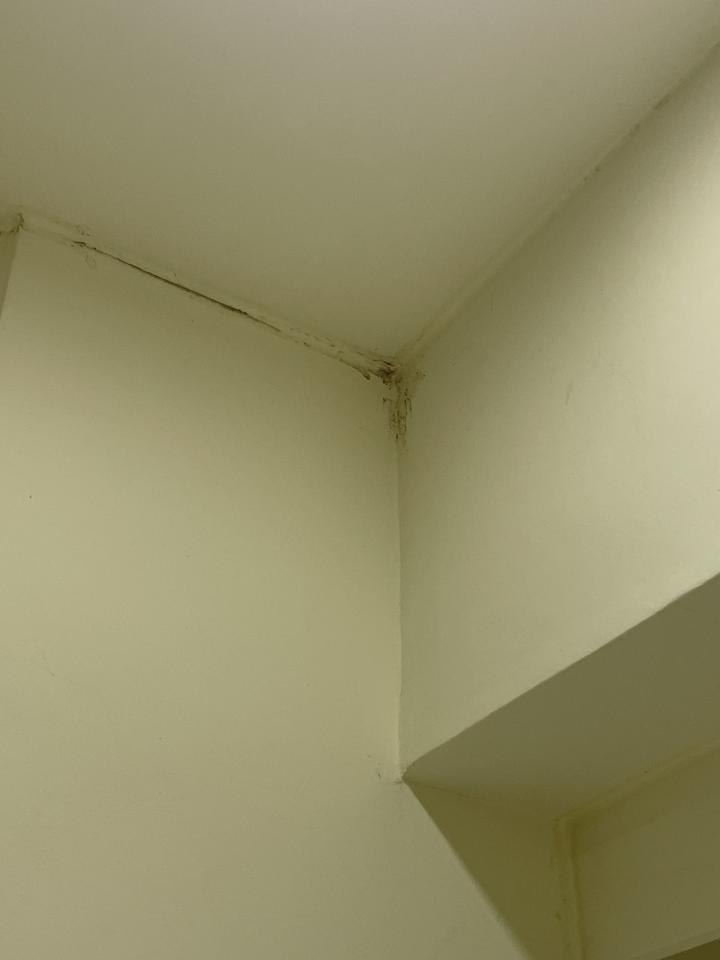 壁癌處理案件圖片