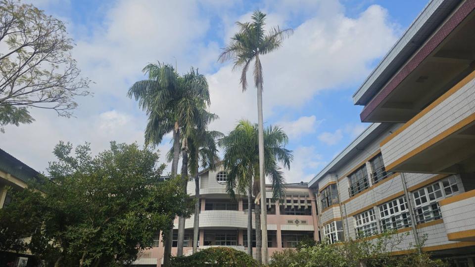 園藝維護案件圖片