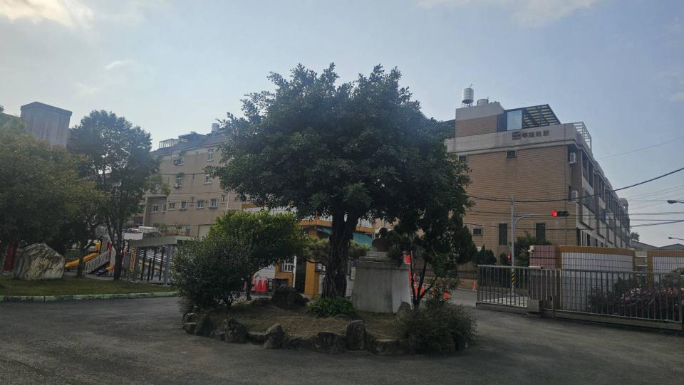 園藝維護案件圖片