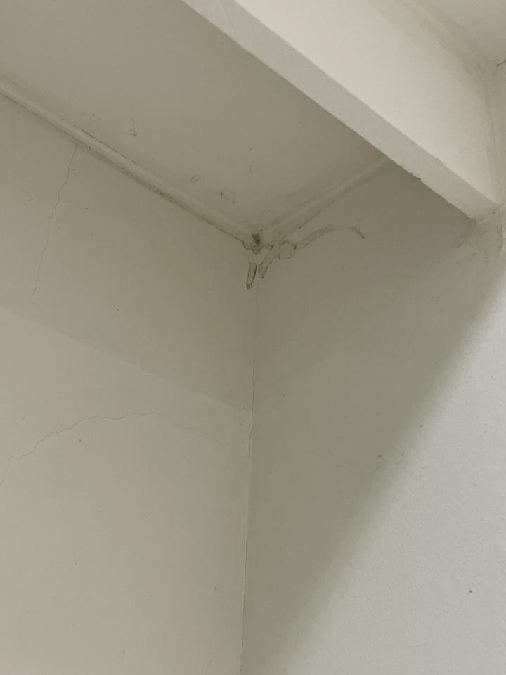 壁癌處理案件圖片