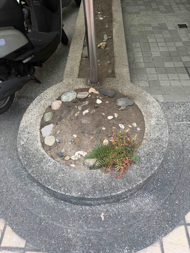 泥作/水泥施工案件圖片