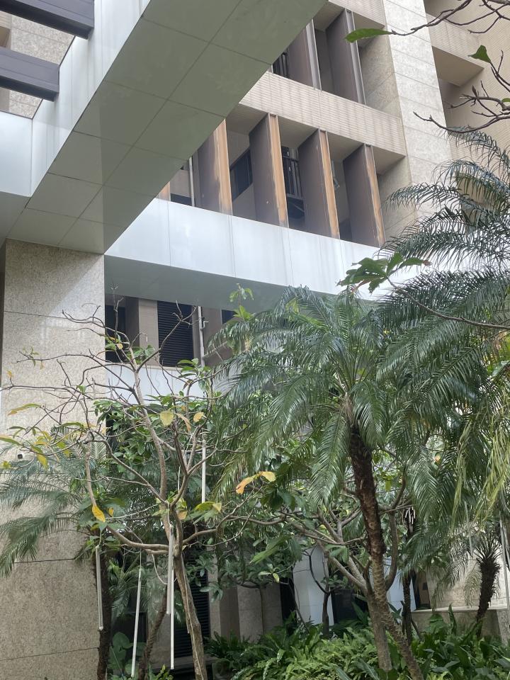 油漆工程案件圖片