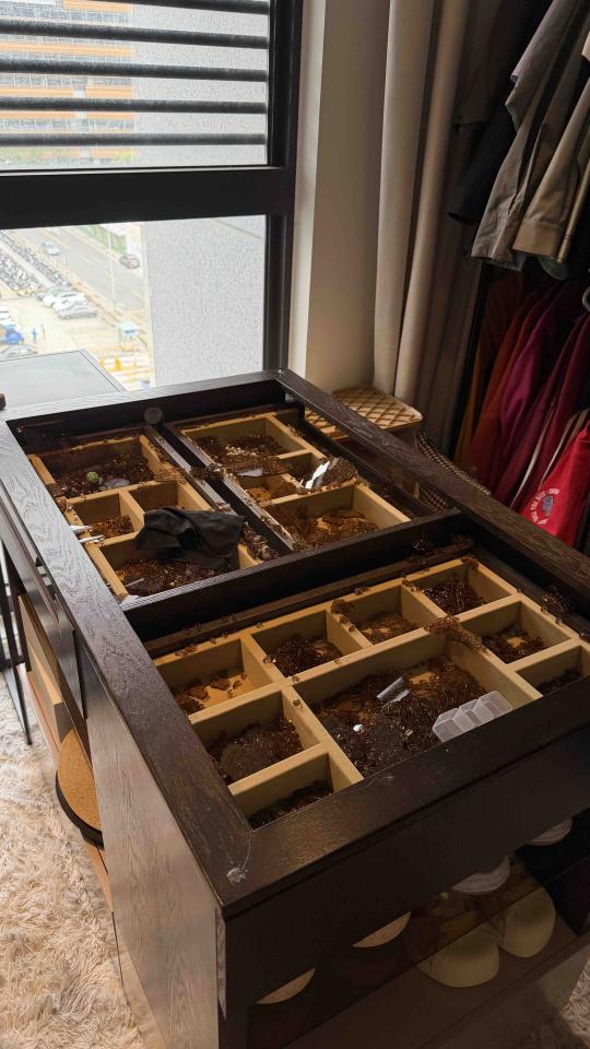 大型垃圾回收案件圖片