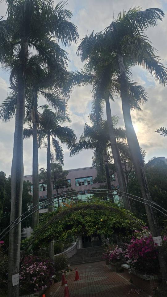 園藝維護案件圖片