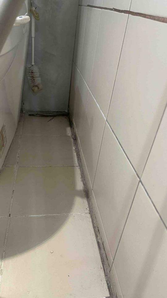 泥作/水泥施工案件圖片