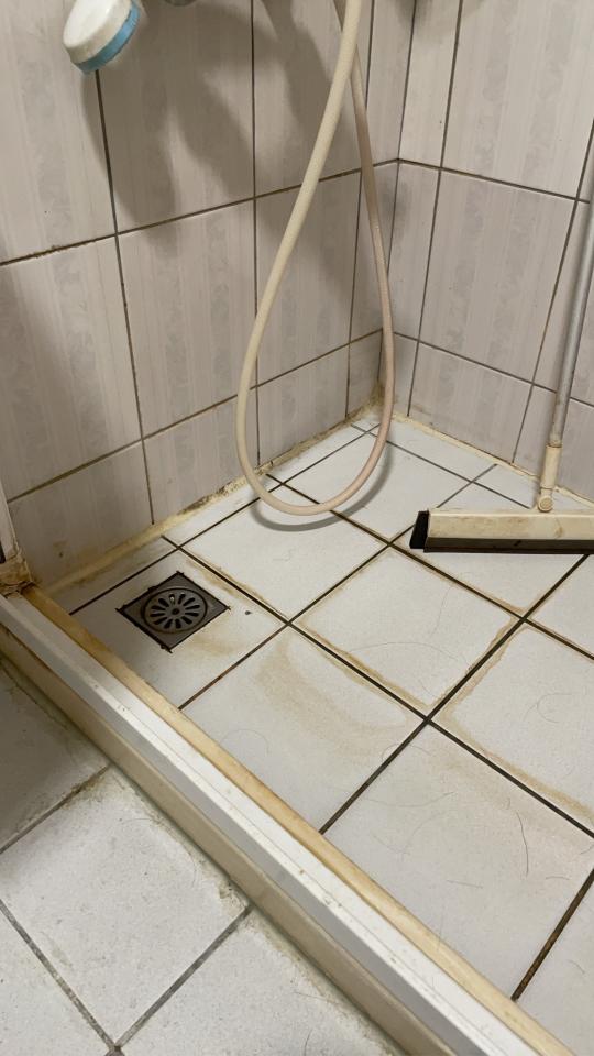 矽利康工程案件圖片