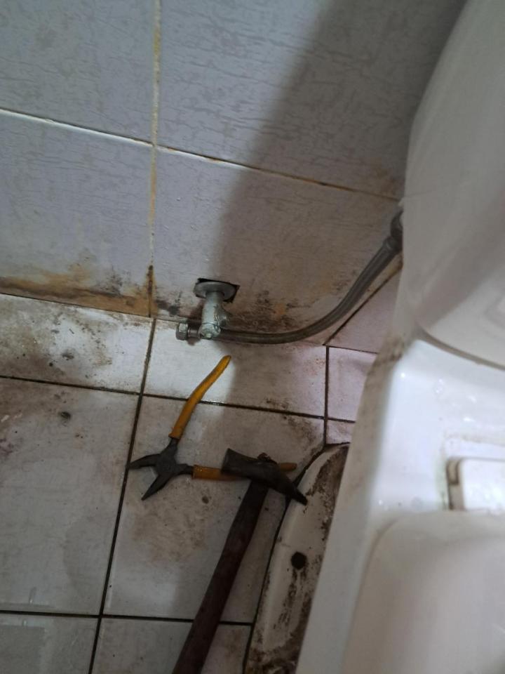 馬桶裝修案件圖片