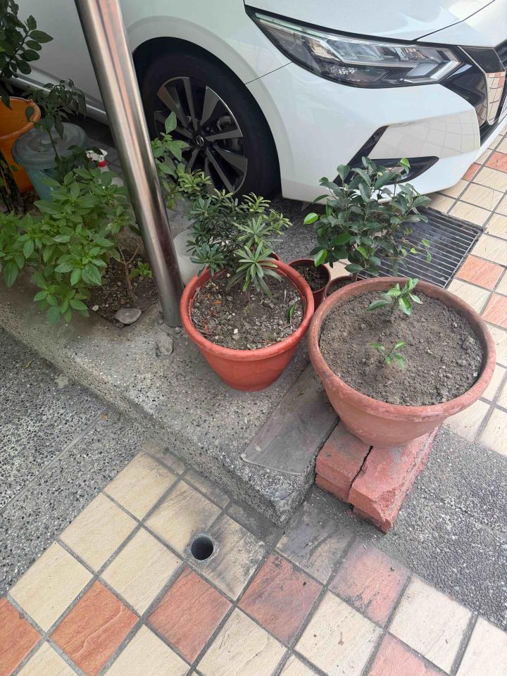 泥作/水泥施工案件圖片