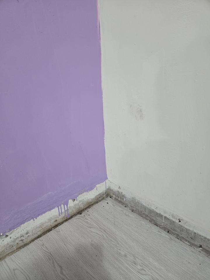 油漆工程案件圖片