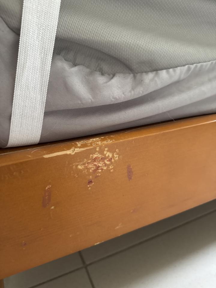 家具維修案件圖片