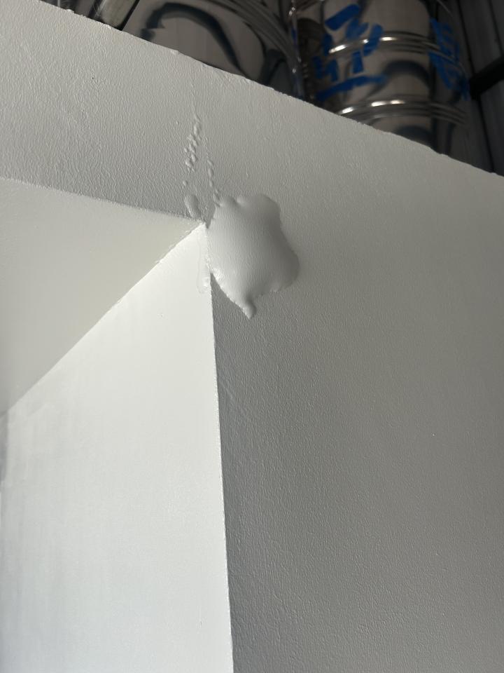 壁癌處理案件圖片