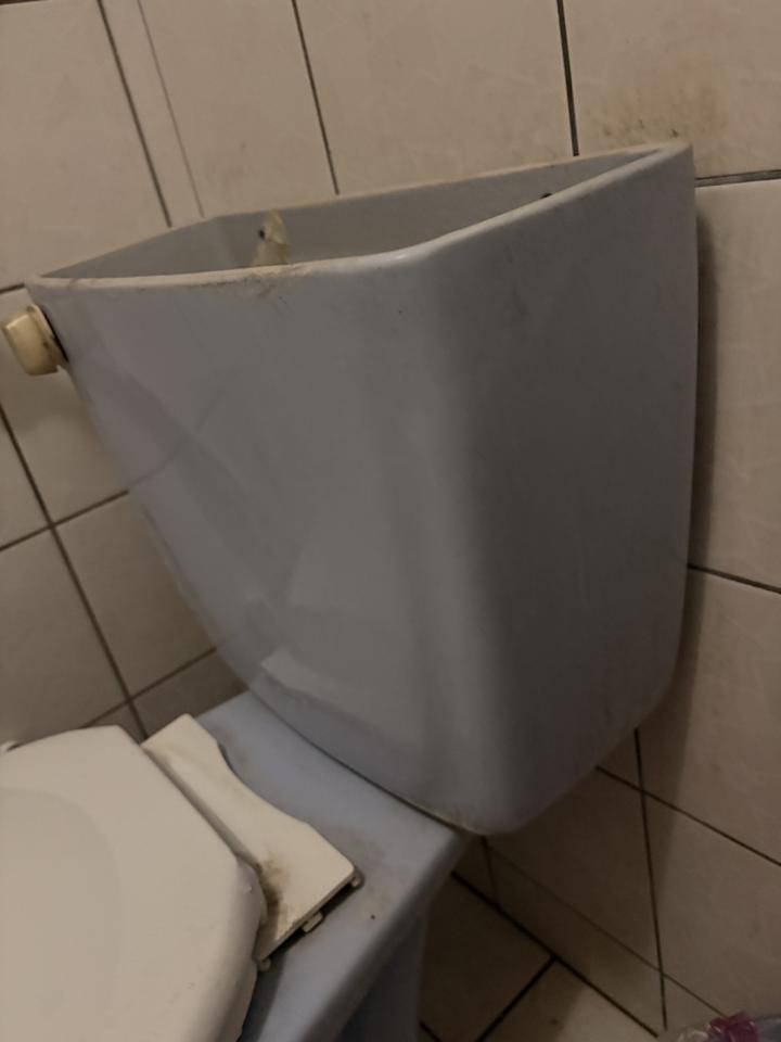 馬桶裝修案件圖片