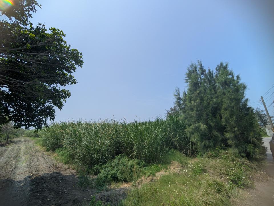 園藝維護案件圖片