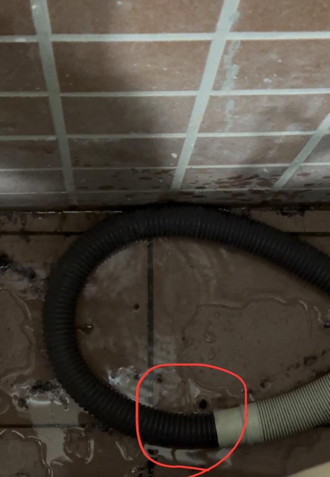 水龍頭裝修案件圖片