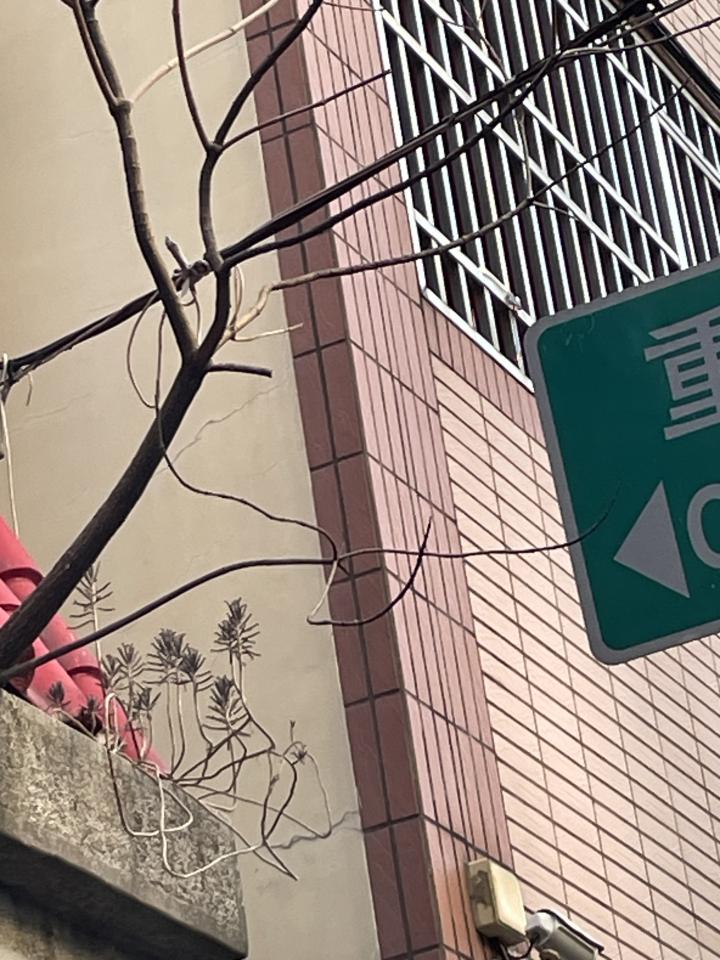 園藝維護案件圖片