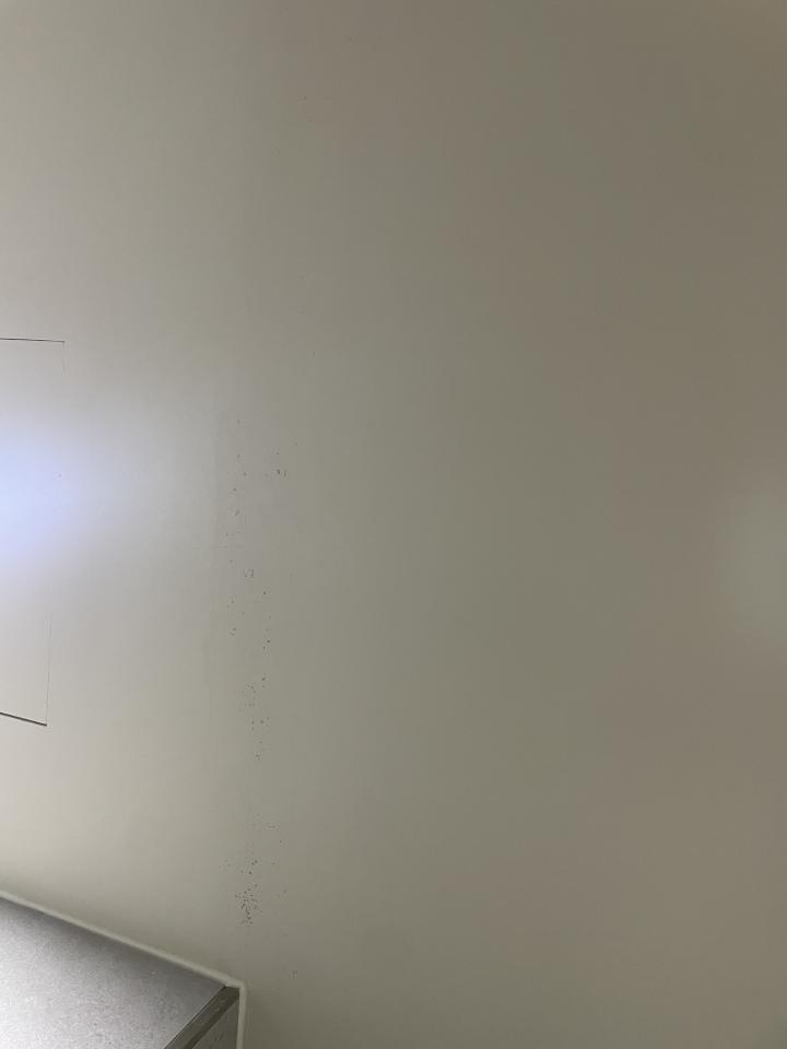 壁癌處理案件圖片