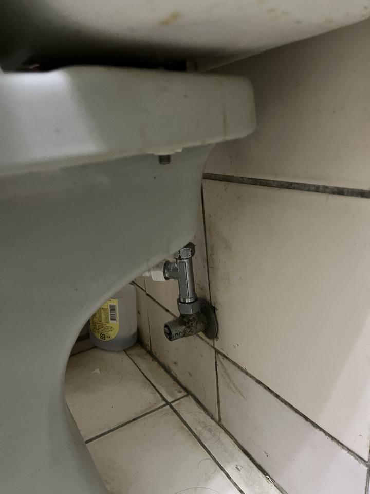 馬桶裝修案件圖片