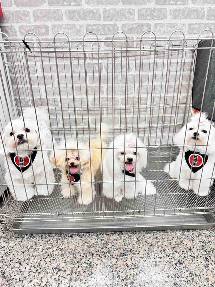 家事服務案件圖片