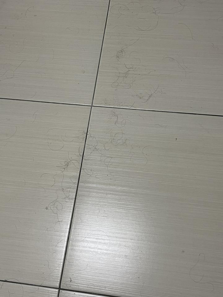 搬家清潔案件圖片