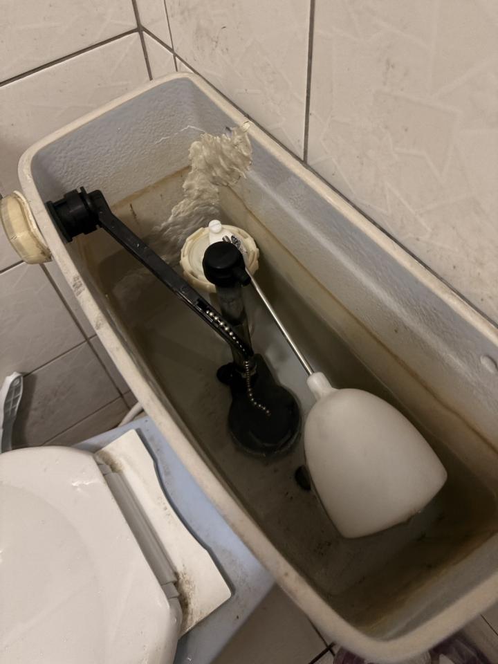 馬桶裝修案件圖片