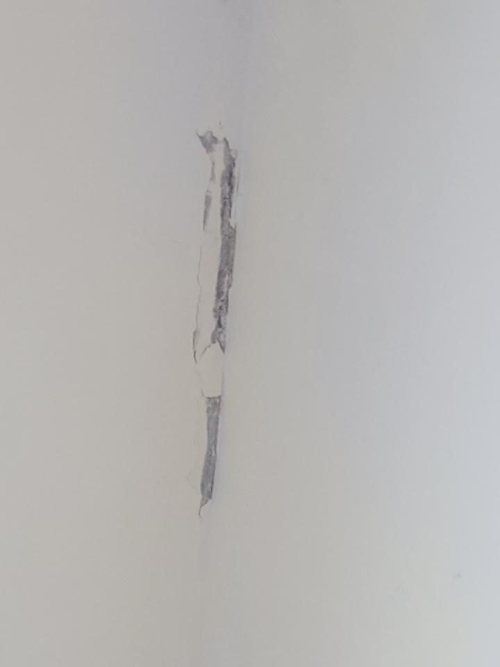 壁癌處理案件圖片