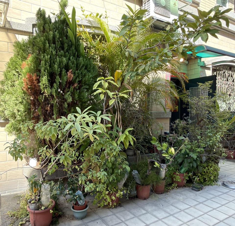 園藝設計案件圖片