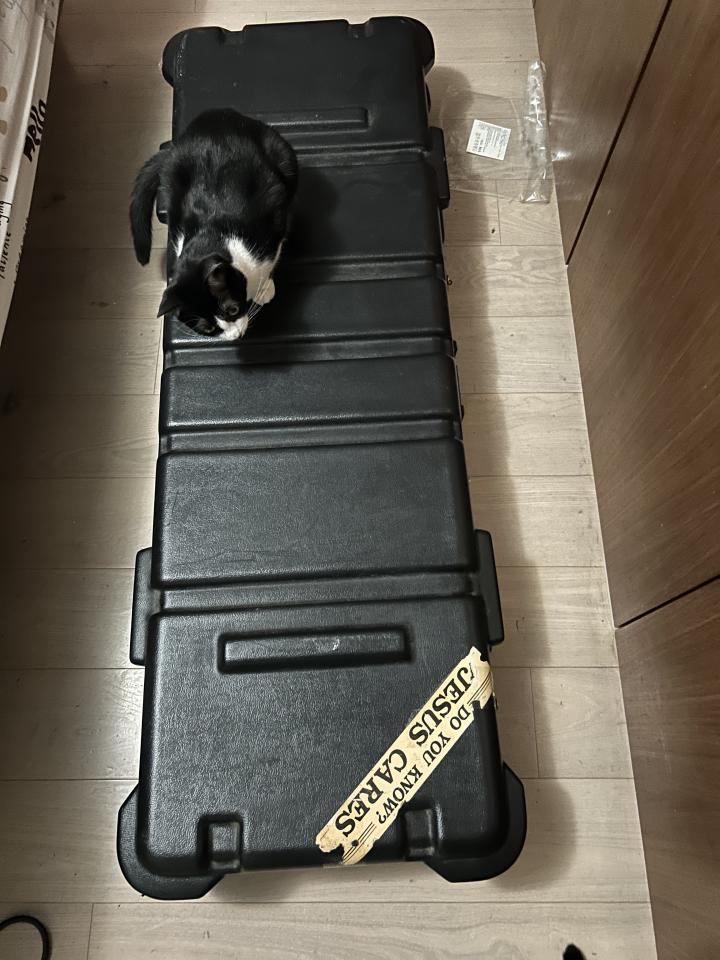 載貨運輸服務案件圖片