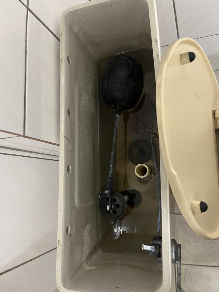 馬桶裝修案件圖片