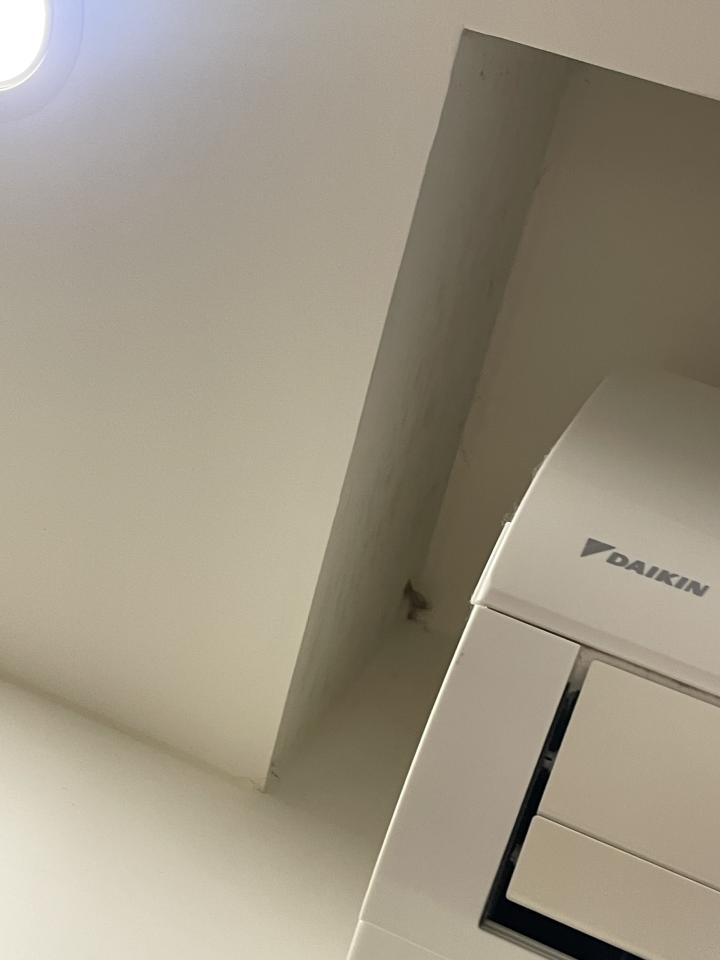 壁癌處理案件圖片