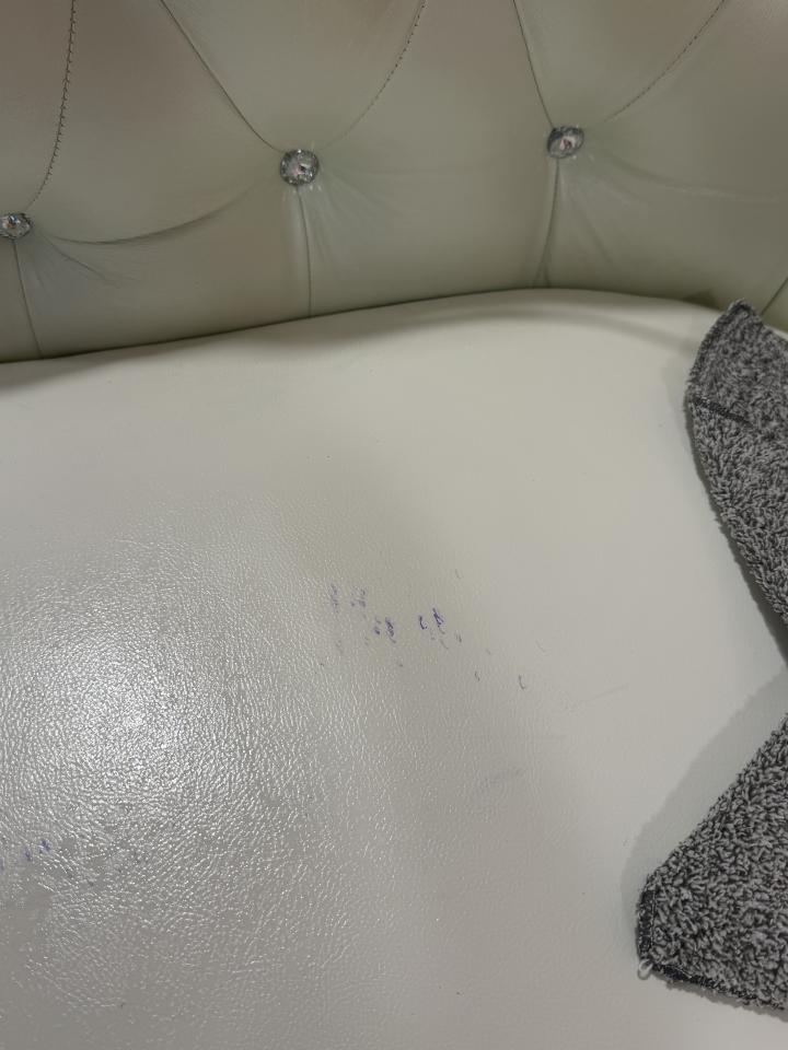 沙發清潔案件圖片