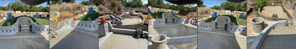 園藝維護案件圖片